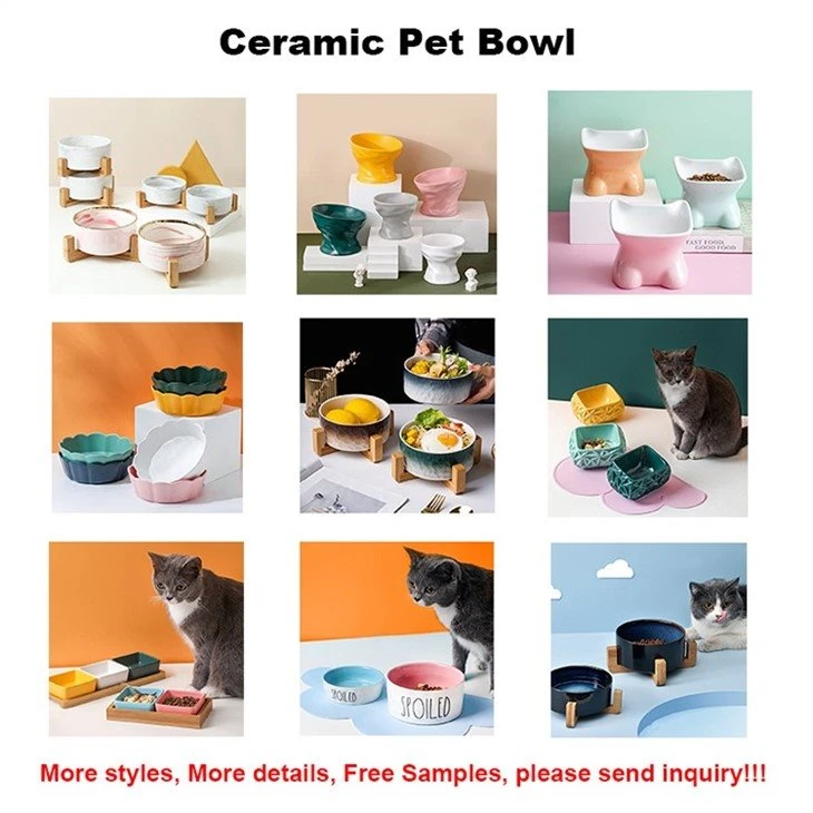 dog food bowl 5